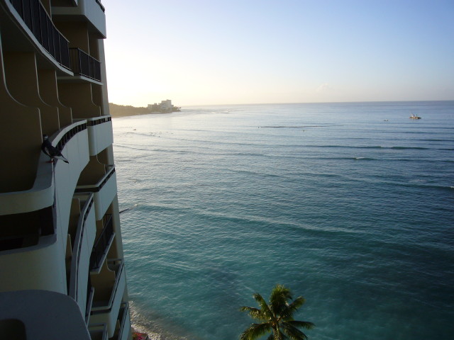 img0011.jpg