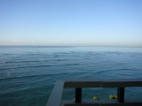img0008.jpg