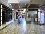 img0061.jpg