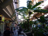 img0062.jpg