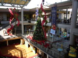 img0063.jpg