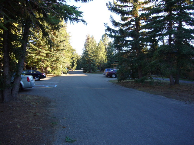 img0029.jpg