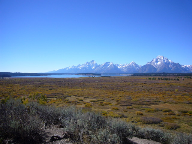 img0063.jpg