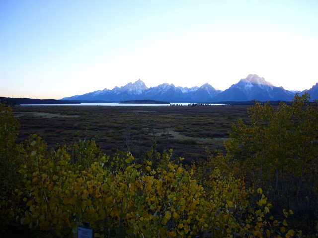 img0078.jpg