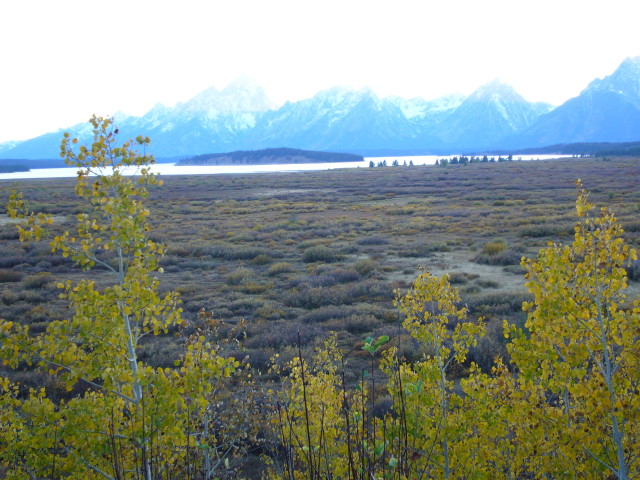 img0079.jpg