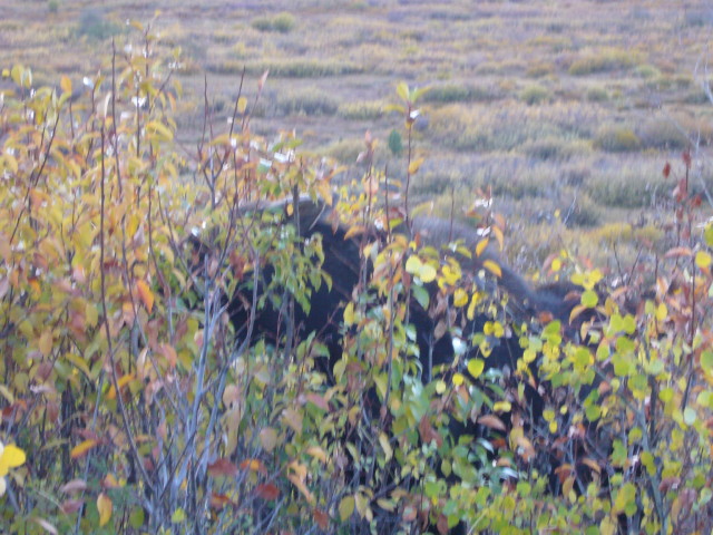 img0081.jpg