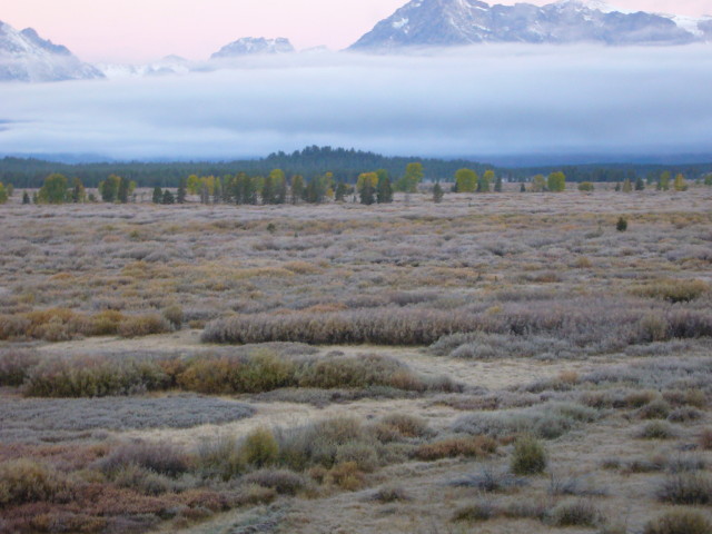 img0093.jpg