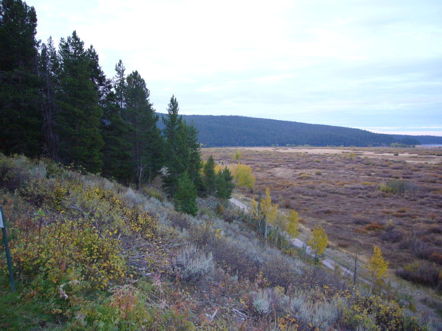img0118.jpg