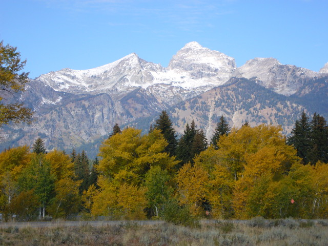 img0159.jpg