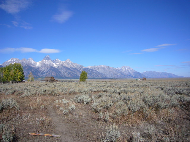 img0162.jpg