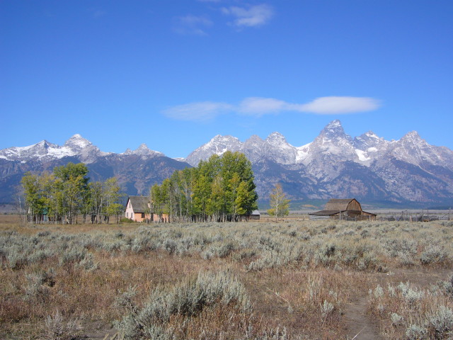 img0163.jpg