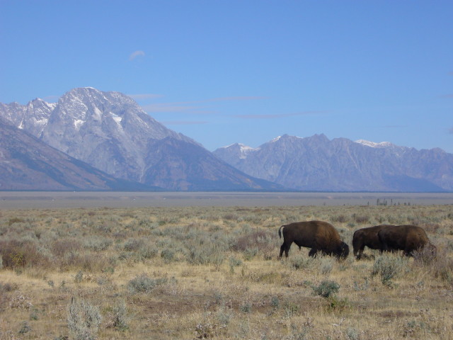 img0171.jpg