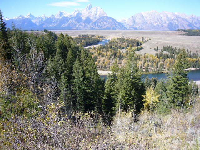 img0175.jpg