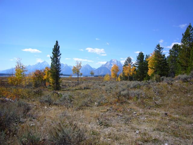 img0179.jpg