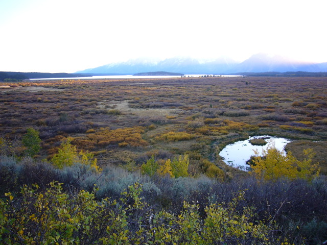 img0184.jpg