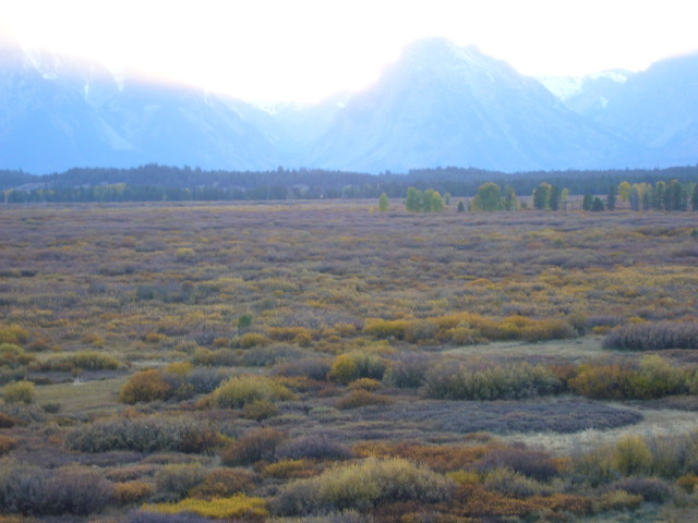 img0186.jpg