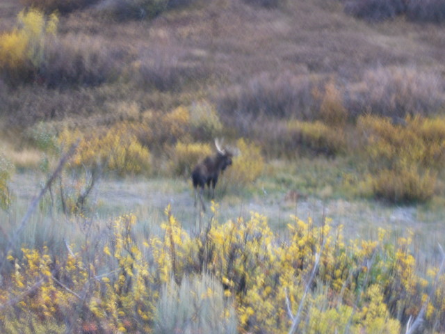 img0190.jpg