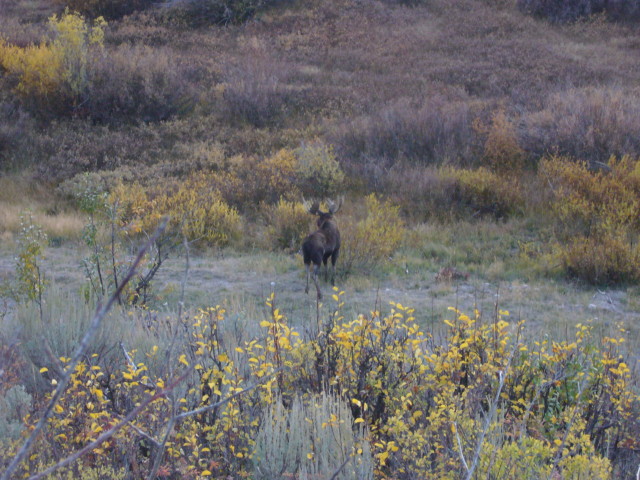 img0191.jpg