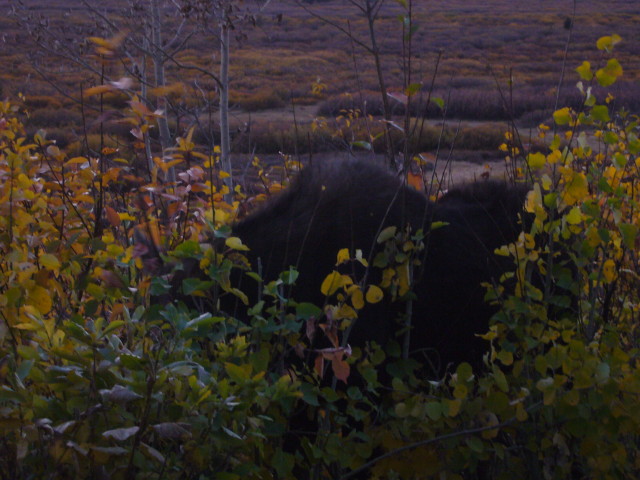 img0194.jpg