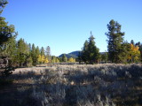 img0030.jpg