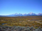 img0060.jpg