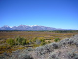 img0061.jpg