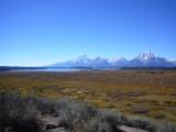 img0063.jpg
