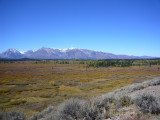 img0064.jpg