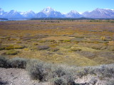 img0066.jpg