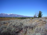 img0067.jpg