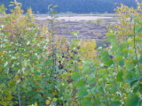 img0076.jpg