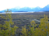 img0079.jpg