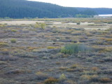 img0080.jpg