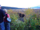 img0082.jpg