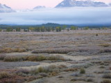 img0093.jpg