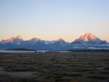 img0096.jpg