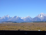 img0102.jpg