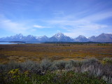 img0105.jpg