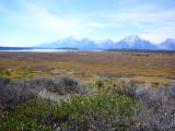 img0107.jpg