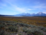 img0108.jpg