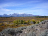 img0109.jpg