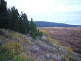 img0118.jpg