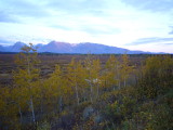 img0119.jpg