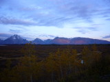 img0121.jpg