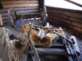 img0148.jpg