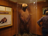 img0157.jpg