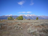 img0160.jpg
