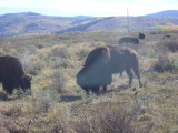 img0165.jpg