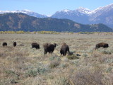 img0168.jpg