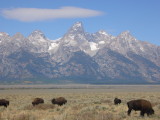 img0169.jpg